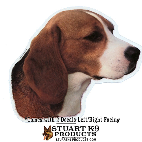 Beagle Head Decal | Pair