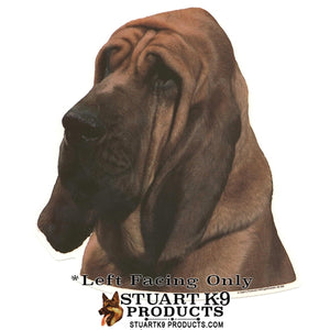 Bloodhound Head | Left Facing Only